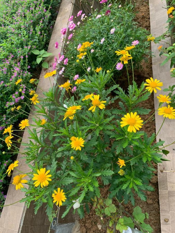 Ylang Garden Villa Hoi An Dış mekan fotoğraf